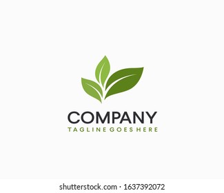 simple three leaf template icon design nature 