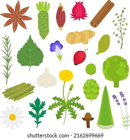 Simple touch herb illustration set