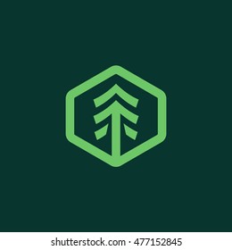 Simple tree badge hexagon shape icon logo graphic