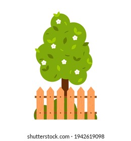 A simple tree, a blooming apple tree with white flowers and a wooden fence. Spring, summer, gardening. Cartoon flat style. Isolated on a white background