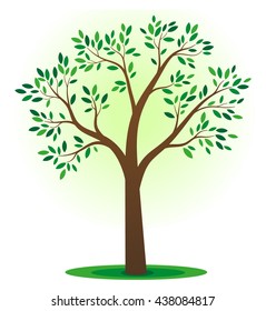 Simple tree illustration with green leafs