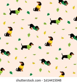 Simple trendy pattern with cartoon dog wearing a jumper. Different poses of dachshund. Vector illustration for prints, clothing, packaging and postcards.