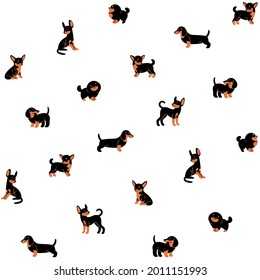 Simple trendy pattern with dogs. Vector illustration. Dachshund, spitz, chihuahua, toy terrier.