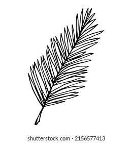 Simple tropical leaf illustration. Hand drawn vector clipart. Botanical doodle for print, web, design, decor, logo.