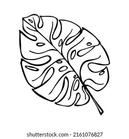 Simple tropical leaf illustration. Hand drawn monstera leaf vector clipart. Botanical doodle for print, web, design, decor, logo.
