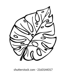Simple ilustración de hoja tropical. Clíparte vectorial de hoja de monstera dibujada a mano. Doodle botánico para impresión, web, diseño, decoración, logotipo.