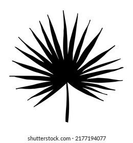 Simple tropical leaf illustration. Hand drawn vector clipart. Botanical doodle