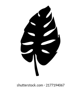 Simple tropical monstera leaf illustration. Hand drawn vector clipart. Botanical doodle