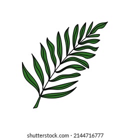 Ein einfaches Symbol aus tropischen Palmenblättern. Ein handgezeichnetes Doodle-Element. Palmenbaum. Tropen, Sommer. Einzige Vektorgrafik.