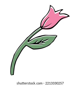 Simple Tulip Cartoon Icon On White Background, Spring Bloom Vector.