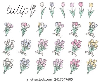 Conjunto de ilustración simple del vector de tulipán. Bouquet, cinta