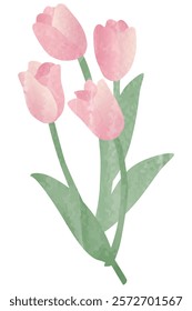 Simple tulip watercolor vector illustration