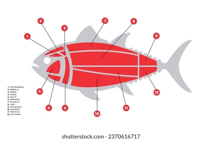 Simple Tuna Cuts diagram (ronqueo). Parts of tuna written in Spanish. 