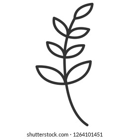 Simple twig with big leaves. Isolated minimalistic vector object of plant. Elegant botanical icon with black thin lines and white background.