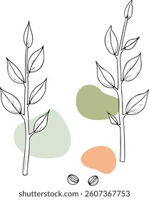 simple of two plant branches with pastel shapes