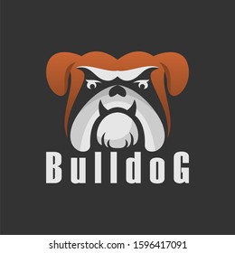 Simple and unique bulldog face or head in fierce image graphic icon logo design abstract concept vector stock. Can be used as a symbol associated with a animal or character.