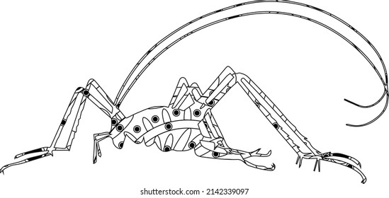 Simple Unique Insects Camel Cricket Cute Mandala Line Art Logo Tattoo Cubism Surrealism Style, Creative Pattern Decoration Popular Artwork World Wildlife Day International Biological Diversity