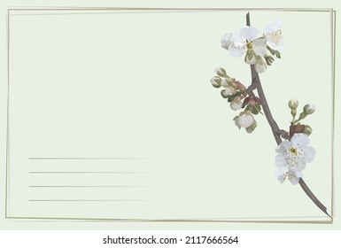A simple universal postcard featuring cherry blossoms