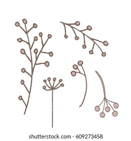 simple unusual flowers