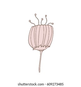 simple unusual flowers