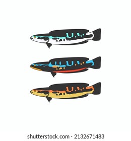 Variedad simple vectorial de peces tomenses