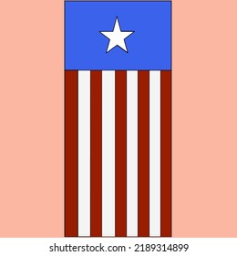 Simple vector American flag with one star
