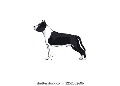 Simple Vector of AmStaff Dog