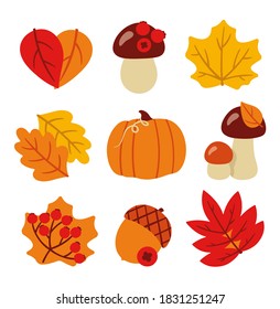 Simple vector autumn illustrations. Fall signs. Colourful autumn logo. Cookie fall season illustrations. Autumn compositions.