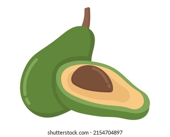 Simple vector avocado. Flat doodle clipart. All objects are repainted.