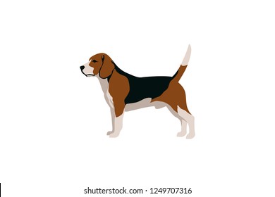 Simple Vector of Beagle Dog