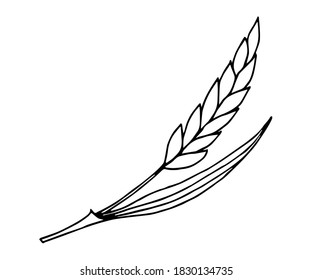 Simple vector black outline drawing. Wheat ear isolated on white background, cereals. For prints, logo, labels. Flour products, bread, pastries.