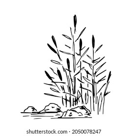 Simple vector black outline drawing. Lake shore, reeds, stones in the water, swamp. Nature, landscape, duck hunting, fishing. Ink sketch.