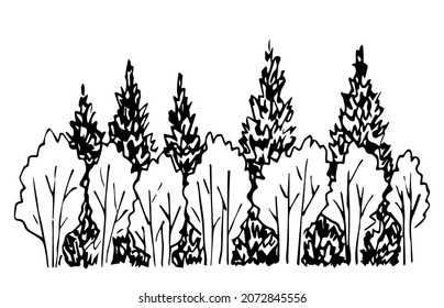 Simple vector black outline drawing. Forest, grove, deciduous and coniferous trees. Ink sketch. Wildlife, nature, landscape. Vegetation.