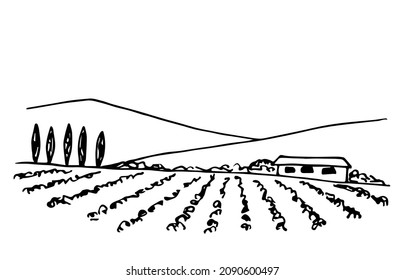 Dibujo simple de contorno negro vectorial. Paisaje vitícola, casa de campo, filas de uvas, cipreses, montañas en el horizonte. Estilo de grabado, impresión de etiquetas, carta de vinos, campo, agricultura.