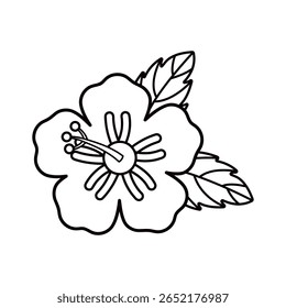 Simples vetor preto e branco linha arte de uma flor hibiscus com pétalas e estame. Para tropical, floral, verão, cartão, crianças, impressão, colorir página e design de natureza. Mão desenhada. Plano de fundo isolado.