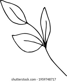 simple vector branch with leaves black and white. Minimalistic botanical illustration, hand drawing 