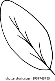 simple vector branch with leaves black and white. Minimalistic botanical illustration, hand drawing 