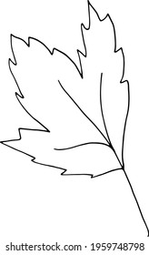 simple vector branch with leaves black and white. Minimalistic botanical illustration, hand drawing 