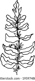 simple vector branch with leaves black and white. Minimalistic botanical illustration, hand drawing 