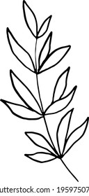 simple vector branch with leaves black and white. Minimalistic botanical illustration, hand drawing 