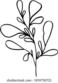 simple vector branch with leaves black and white. Minimalistic botanical illustration, hand drawing 