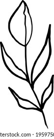 simple vector branch with leaves black and white. Minimalistic botanical illustration, hand drawing 