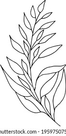 simple vector branch with leaves black and white. Minimalistic botanical illustration, hand drawing 