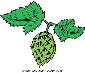 Simple Vector Chinook Hops Illustration 