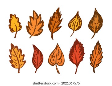 Simple vector color drawing. Set of bright dry autumn leaves for seasonal design. Leaf fall.