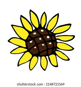 Simple vector color drawing. Sunflower isolated on white background. Summer decor, seasonal harvest, seeds. Vegetable oil.