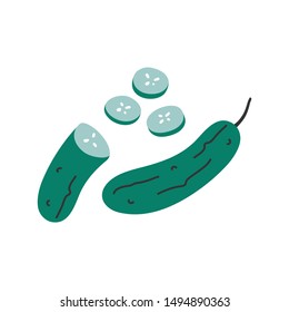 Simple vector colorful hand drawn illustration of cucumber ingredient with slices. Trendy flat naive style handdrawn drawing of vegetable. healthy diet cooking ingredient.