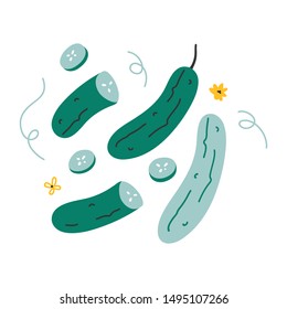 Simple vector colorful hand drawn illustration of cucumber ingredient with slices. Trendy flat naive style handdrawn drawing of vegetable. healthy diet cooking ingredient.