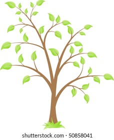 Simple vector deciduous tree, isolated on a white background.