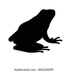 simple vector design of a black frog